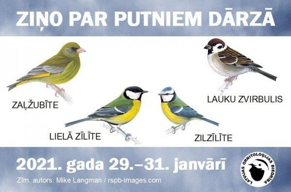 Ziņo par putniem dārzā!