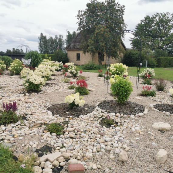 FOTO. Miers, lavandu smarža un reibinošs skaistums "Lavandu lejās"