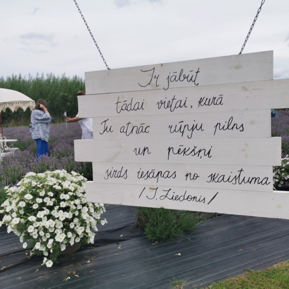 FOTO. Miers, lavandu smarža un reibinošs skaistums "Lavandu lejās"