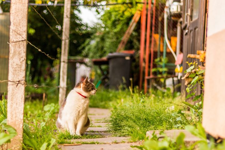Arī pirmdiena būs vējaina, bet pārsvarā sausa