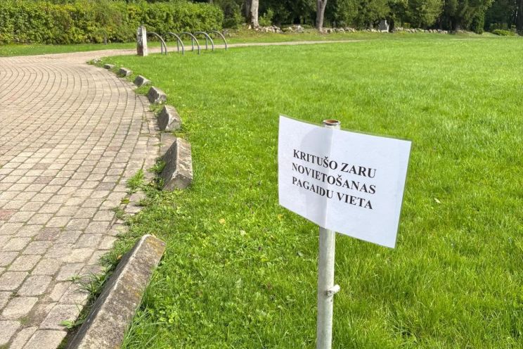 Attēls rakstam: Lielvārdē izveidota pagaidu vieta vētrā nolūzušo zaru novietošanai