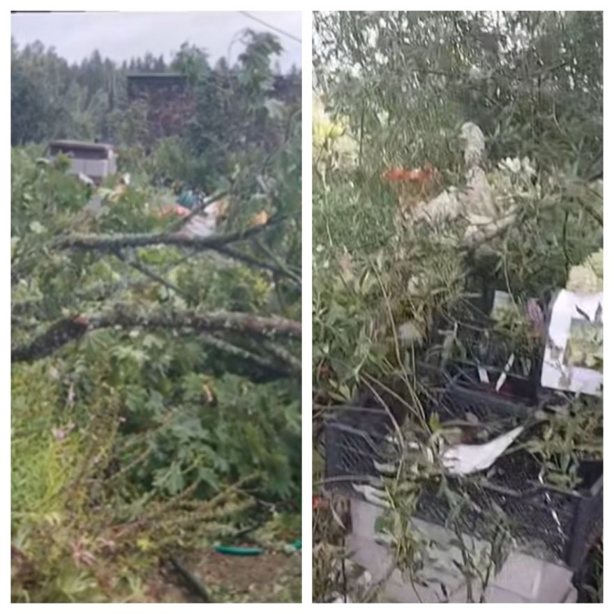 VIDEO: Gads nežēlo "Rasu Dārzniecību" – pēc iepriekšējām likstām jaunus postījumus nesusi vētra