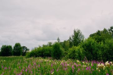 Attēls rakstam: Ogrē gaidāma sausa un mākoņaina diena