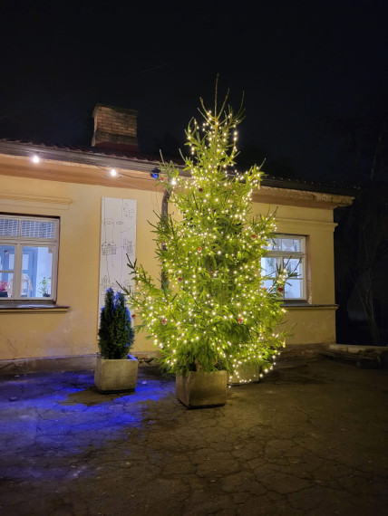 Ziemassvētku &quot;Egļu stāsts&quot; nākamie septiņi dalībnieki