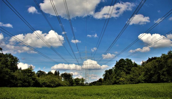 AS ''Augstsprieguma tīkls'' informē par potenciāli apdraudošo koku nozāģēšanu elektrolīnijas aizsargjoslā