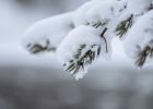 Attēls rakstam: Trešdien vietām veidosies divus līdz četrus centimetrus bieza sniega sega