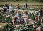 Attēls rakstam: FOTO: Tūkstoš peoniju un Žoržs Siksna – Tomē aizvadīti krāšņi Peoniju svētki
