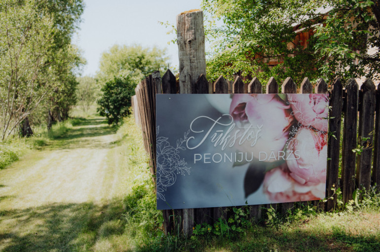 FOTO: Tūkstoš peoniju un Žoržs Siksna – Tomē aizvadīti krāšņi Peoniju svētki