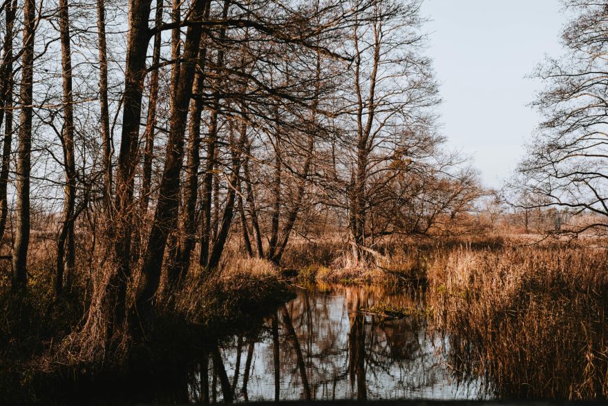 Nedēļas nogalē nav gaidāmi lieli nokrišņi