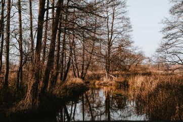 Attēls rakstam: Nedēļas nogalē nav gaidāmi lieli nokrišņi