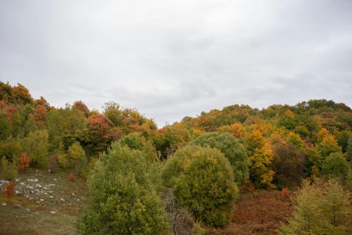 Trešdien saglabāsies silts un mākoņains laiks