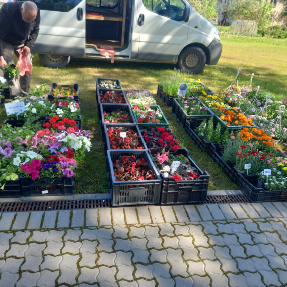 FOTO: Man lieks, tev prieks! Bagāžnieku tirgus Lēdmanē pulcē gan pārdevējus, gan pircējus