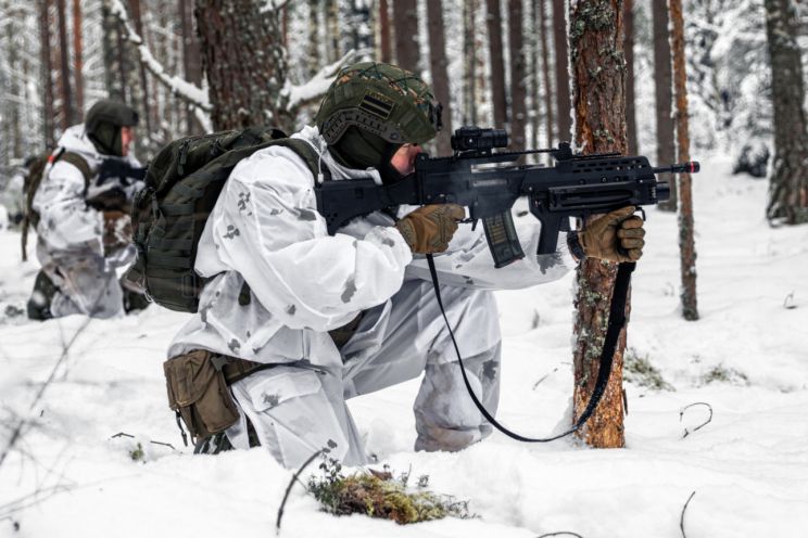 Attēls rakstam: Tomes un Birzgales pagastos notiks militārās mācības