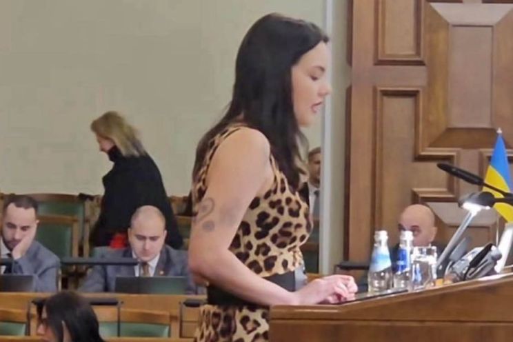 Attēls rakstam: Leopards Saeimā: politika vai performance? Atkal kāds tērps izraisa viedokļu vētru