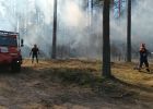 Attēls rakstam: Valsts meža dienests: Maijā sākas meža ugunsnedrošais laikposms