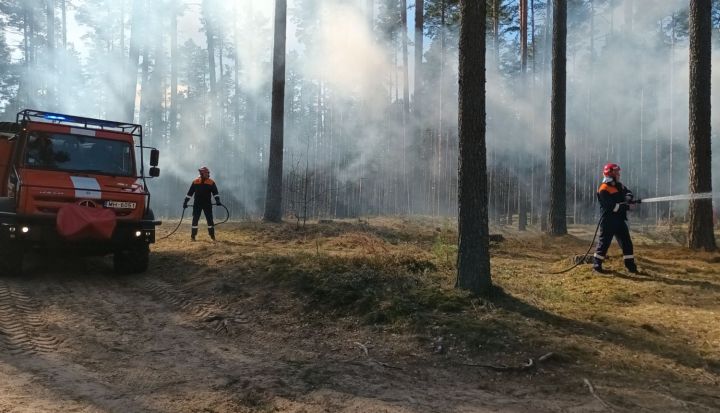 Valsts meža dienests: Maijā sākas meža ugunsnedrošais laikposms