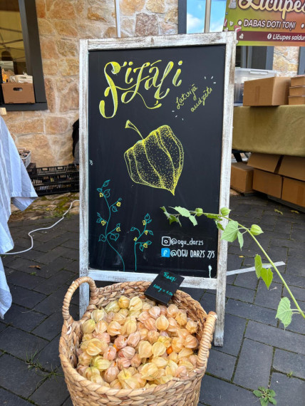 FOTO: Vakara tirdziņa garšas un krāsas Ogresgrīvas pusmuižā