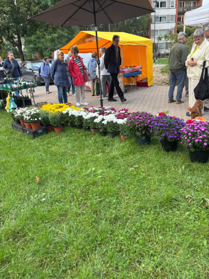 FOTO: Vakara tirdziņa garšas un krāsas Ogresgrīvas pusmuižā