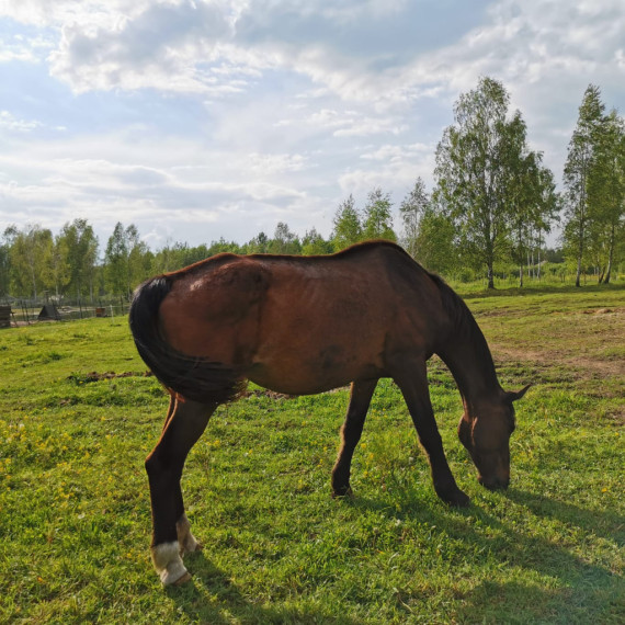 Ķerot mirkļus un emocijas mini zoodārzā "Skaistkrasti"