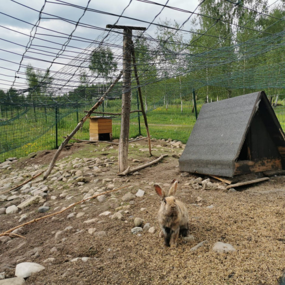 Ķerot mirkļus un emocijas mini zoodārzā "Skaistkrasti"