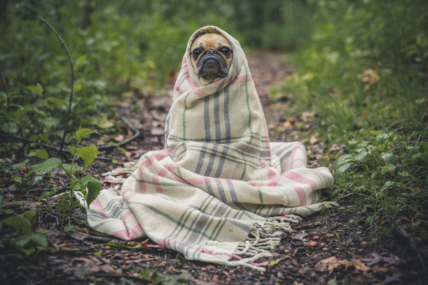 Jāmeklē jaka! Nākamnedēļ gaisa temperatūra var noslīdēt trīs grādus zem normas