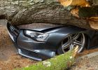 Attēls rakstam: Ogrē krītošs koks apskādē auto
