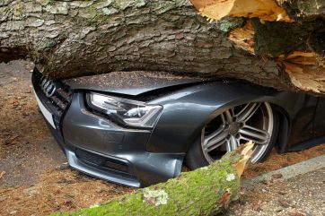 Attēls rakstam: Ogrē krītošs koks apskādē auto