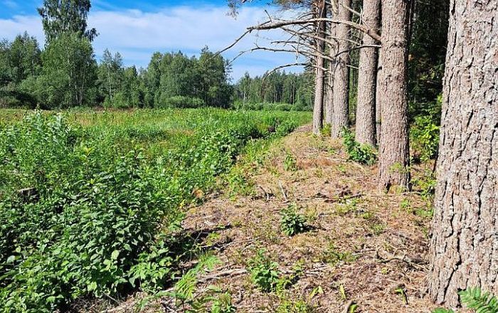 Kas dzīvo šī gada dzīvotnē – malā?