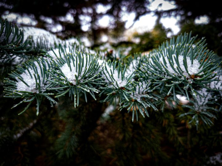 Pēcsvētku dienā Latvijā līs un snigs