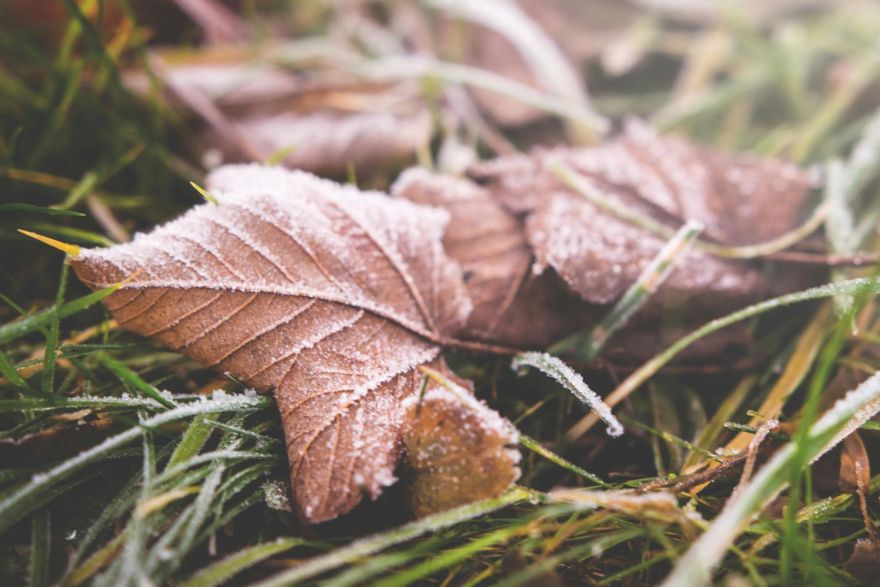 Tuvākās dienas gaidāmas saulainas, naktīs temperatūra noslīdēs zem nulles