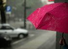 Attēls rakstam: Ar lietu, bet siltāk par normu: kādi laikapstākļi gaidāmi nedēļas nogalē un nākamnedēļ?