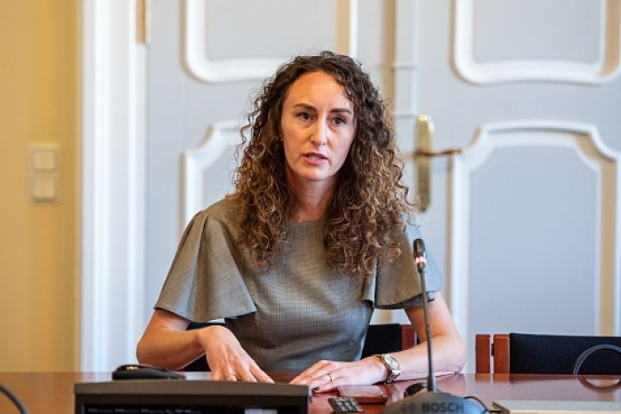 Tiesībsardze aicina izveidot vienotu sistēmu vardarbības gadījumu izskatīšanai