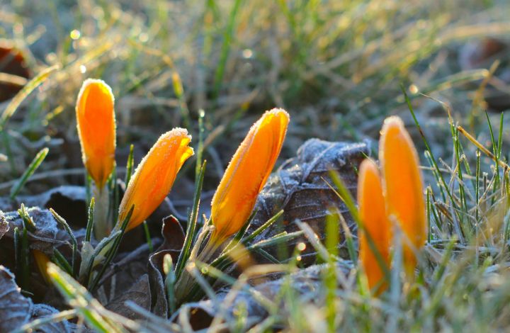 Nākamnedēļ Latvijā ieplūdīs aukstāks gaiss no Arktikas