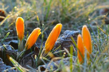 Attēls rakstam: Nākamnedēļ Latvijā ieplūdīs aukstāks gaiss no Arktikas