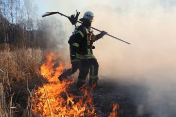 Attēls rakstam: Ogres novadā dzēsts kūlas ugunsgrēks 1,5 hektāru platībā