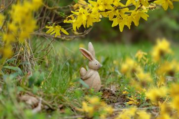 Attēls rakstam: Zaļā ceturtdiena gaidāma saulaina