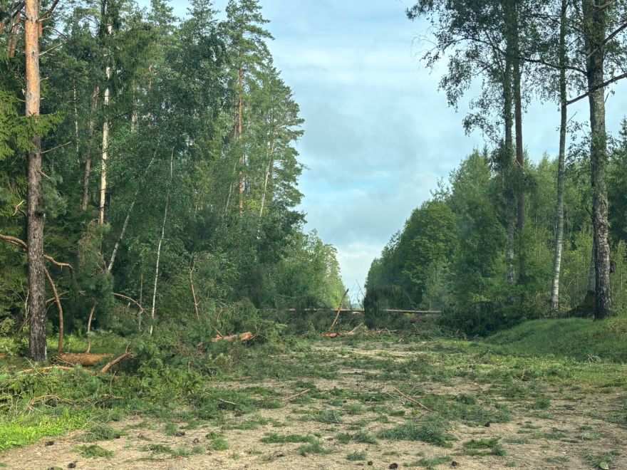 "Diezgan apokaliptiska sajūta"! Ogres novada iedzīvotāji dalās savā pieredzē par vētru un tās postījumiem