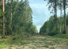 Attēls rakstam: "Diezgan apokaliptiska sajūta"! Ogres novada iedzīvotāji dalās savā pieredzē par vētru un tās postījumiem