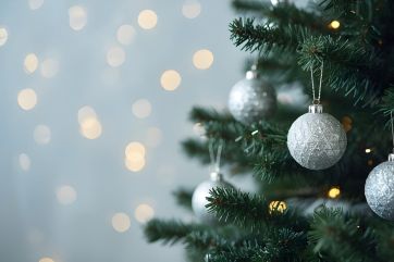 Attēls rakstam: Ko darīt ar Ziemassvētku eglīti pēc svētkiem?