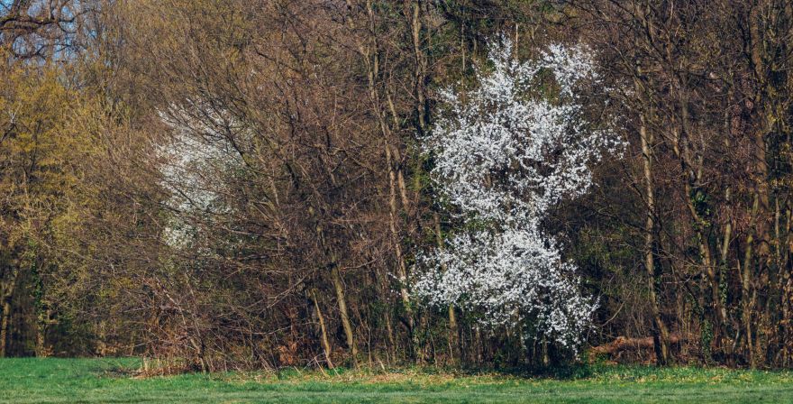 Svētdien saule mīsies ar mākoņiem