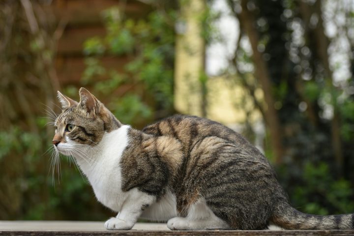 Aprīļa vidus Latvijā bijis sauss un grādu siltāks par normu