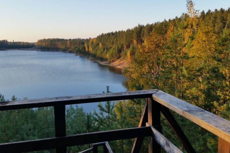 Attēls rakstam: Iepazīsti meža dzīvi - Meža dienās 2026 Ogres Zilajos kalnos