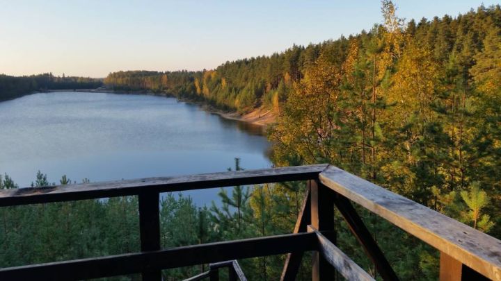 Iepazīsti meža dzīvi - Meža dienās 2026 Ogres Zilajos kalnos