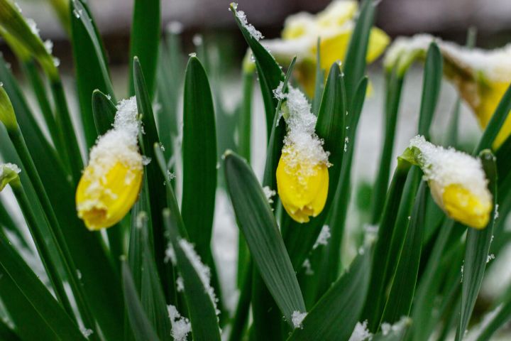 No 23. aprīļa brīžiem gaidāms lietus un sniegs