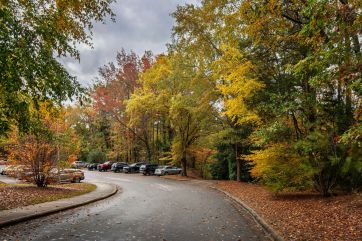 Attēls rakstam: Latvijā gaidāma mākoņaina un silta nedēļa