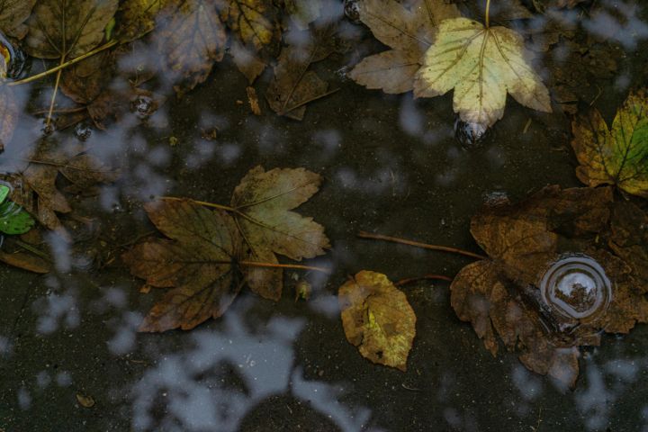 Nedēļas pirmajā dienā valsts lielākajā daļā līs