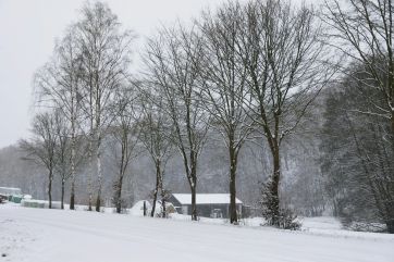 Attēls rakstam: Ap gadumiju Latvijā sāks veidoties noturīga sniega sega