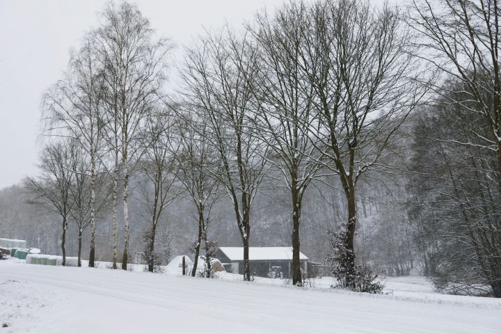 Ap gadumiju Latvijā sāks veidoties noturīga sniega sega