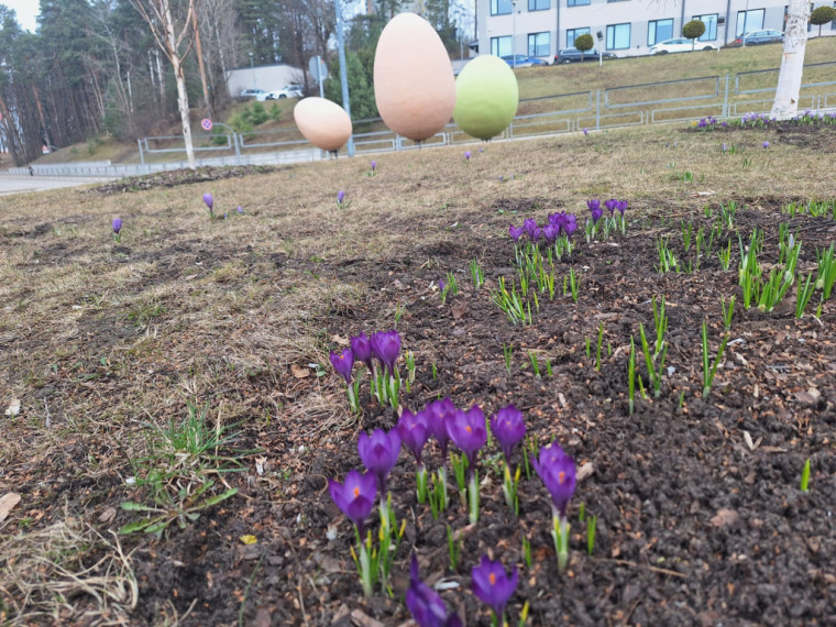 FOTO: Ogre ietērpusies Lieldienu dekorācijās