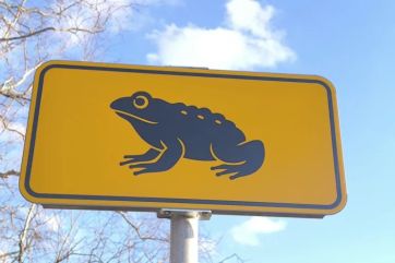 Attēls rakstam: Uz ceļiem daudzviet redzamas jaunas zīmes. Kā rīkoties, tādu ieraugot?